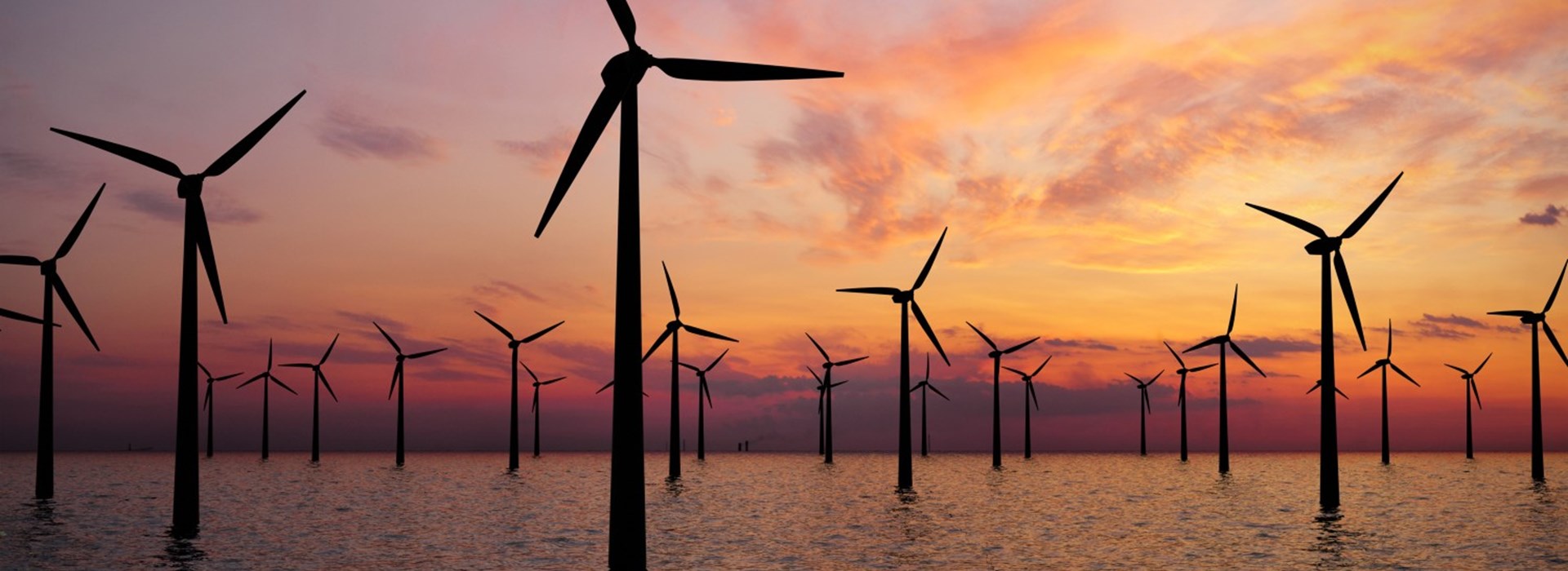 Shutterstock 1454940068 (1)