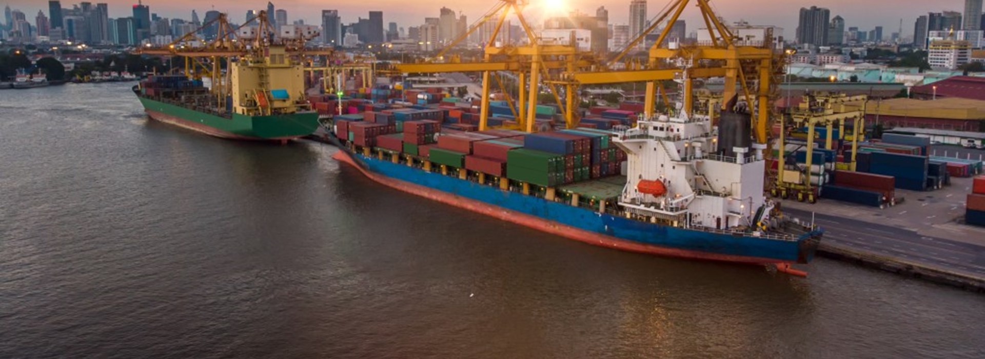 Shutterstock 1722502129 (1)